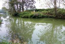 钓鱼不会找鱼窝？看看高手怎么做！