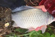 都是用蚯蚓钓鱼，为啥别人爆护你空军？原因比你想的还复杂