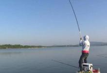 钓鱼经常跑鱼？看看这些跑鱼雷区你中了几个