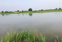 冬钓鲫鱼的实战技巧，鱼获不断，钓鱼其实很简单