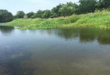 钓大板鲫的时机已到，这是让你连杆的必备干货