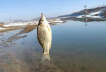 春季野钓，傻坐一天无鱼咬钩？给你四条建议，其实大鲫鱼很好钓