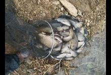 三月份大鲫鱼都藏在这些地方，选对钓点能爆护，选错可能会空军