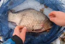 冬季野钓经常空军？其实不是资源差，捅破这层窗户纸你也能爆护