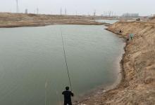 惊蛰过后野钓要观风，两种风向能爆护，两种风向要空军