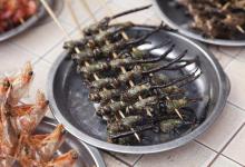 湖北男子钓鱼时，捡到很多吓人的虫子，网友：给钱我都不敢吃