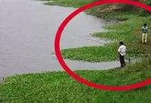 钓鱼做好望闻问切，真的可以事半功倍望