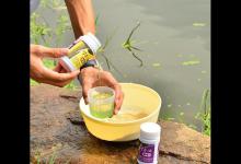 小药钓鱼到底有用吗？小药哪种效果好？