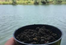 万能钓饵之蚯蚓的使用技巧！用好了，鱼获真可以翻倍