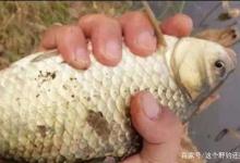 想安静钓个鱼，总有人在耳边叭叭不停，盘点野钓令人生厌的人和事