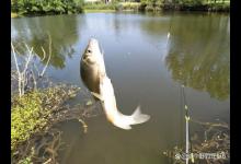 2个主要原因左右你的渔获，而你却又抗拒不了，不甘心也得认命