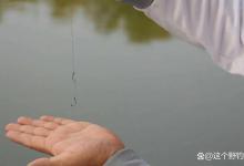 漂总是调不好，调不准，这4个坏习惯最容易被忽视。新手更要重视