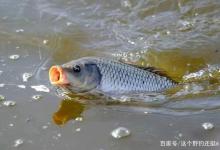 秋季下雨降温好钓鱼？不要你觉得，没道理没规律出钓才是硬道理