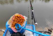 野钓打窝乱象导致久钓没口，打破僵局仅需一招，上鱼效率明显提高