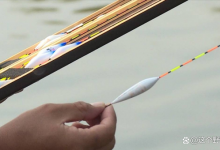 调漂找底的“底”在哪？很多人都理解错了，难怪漂没信号鱼不上钩