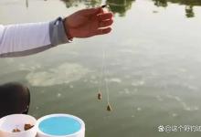 野钓子线并非越细越好！保证上鱼不切线，需从四个方面综合考虑