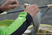 野钓没口，简单地加一块铅皮，可能比换钓位做调整，更直观有效