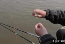 夏季如何用好大跑铅？解决疑惑梳理细节，让你有针对性地钓过瘾！