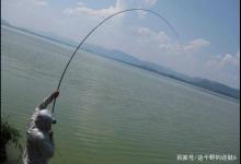 相邻的两个钓位，你总比隔壁钓得少，3个方面让你明白问题出在哪