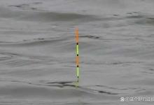 最适合新手的调漂方式。很多人学调漂注重形式，忽略实际灵活运用