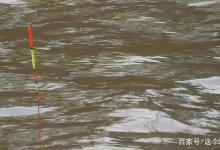 调几钓几或怎么钓重要么？调钓不是形式，要活学活用灵活运用