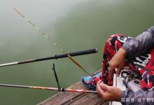 野钓钓灵钓钝如何选择，以鱼的活性为前提，资源和鱼情不可忽视