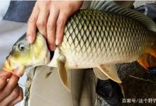 钓鱼人不在乎鱼获骗谁呢？关乎面子问题，说多了就是矫情