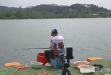 寻求曾大盆钓鲫鱼饵料？同样的饵料你未必能钓得好，原因在哪？