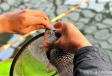 现在钓鱼人是最好骗的时候，为钓鱼舍得花钱，但别缴智商税