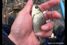 为什么玩野钓时间越长，人会变得越“懒”？答案很现实，并非麻木