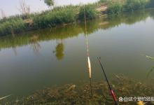 怎么调漂出口漂亮？从两方面入手，做好一点就能离爆护更近一步！