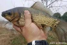 冬季降温当天好钓鱼？你不空军算我输！别听不钓鱼的瞎说