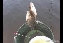 挪挪窝就能钓得多？没有必要条件，换钓位不如尝试钓远或尽早回家