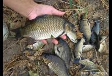 诱鱼快留鱼久，屡试不爽的四季打窝开饵小妙招，发窝就连杆