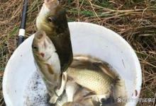 用蚯蚓钓鱼怎么调漂？跑铅配合好这两种打窝方式，钓得就比别人多