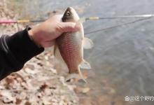 调高钓低是否华而不实？钓钝没漂相，不想稀里糊涂地钓到鱼怎么办