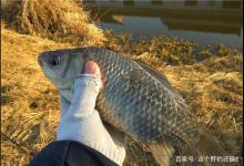 冬季是最有可能“爆护”的季节，钓法怎么选择，你说了算