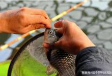 野钓鱼情不好时，做好这“六步”，你就是钓友眼中羡慕的高手