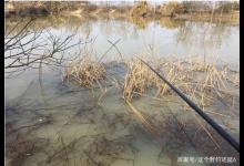 冬季有草好钓鱼，可总是挂底怎么办？实用的解决方法让你从容应对