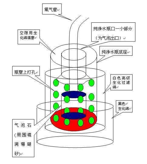 鱼缸过滤器正确用法图片