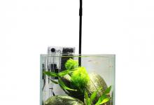 水族箱led灯作用 鱼缸灯作用介绍