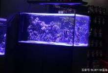 鱼缸水族照明灯具选择及T5灯详解