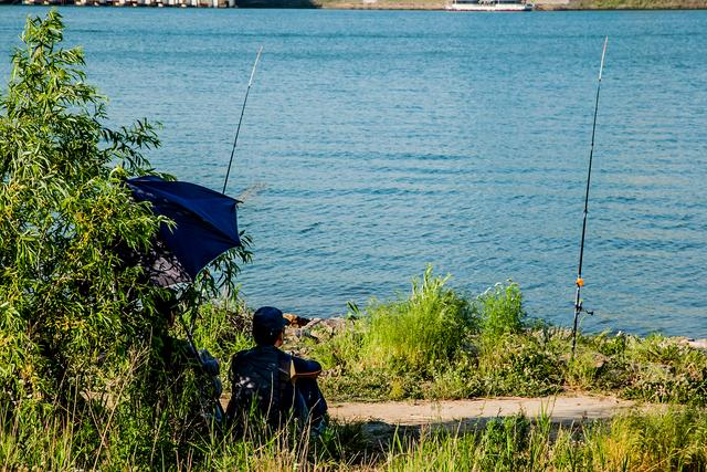 "春季东南风钓鱼,享受大自然的美好与健康益处!