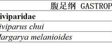 “螺狮”变成国家二级保护动物了？爆炒螺狮还能吃吗？