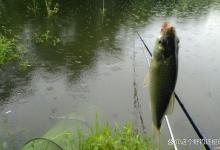 雨后鱼口真的会变好吗？雨天如何作钓？钓深与钓浅哪个效果好？