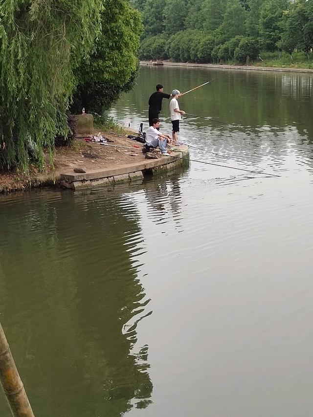 夏天钓鱼什么情况下需要更换钓位!看老钓鱼人如何成功拿捏