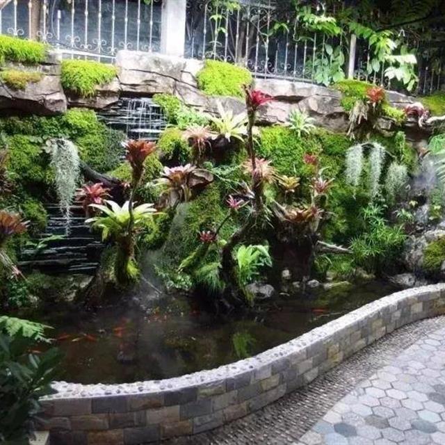 比植物墙漂亮百倍的雨林缸,国际比赛前十名作品欣赏