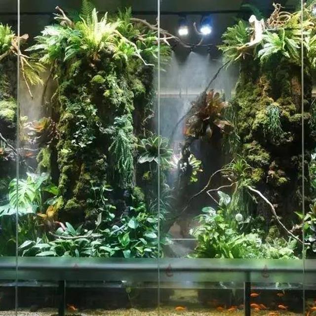 比植物墙漂亮百倍的雨林缸,国际比赛前十名作品欣赏