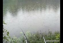 夏季这样钓草鱼会好很多