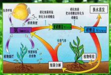 打造空气鱼缸的基础条件，原来这么简单，观赏鱼玩家拿走不谢